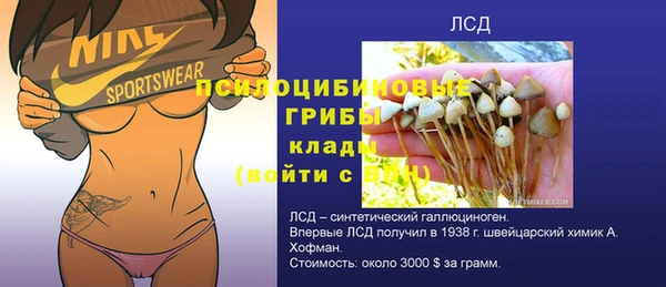 крисы Сафоново