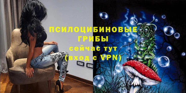 мяу мяу мука Порхов