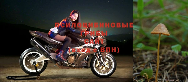 крисы Сафоново