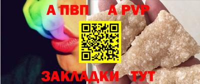 бошки Кингисепп