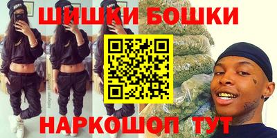 бошки Кингисепп