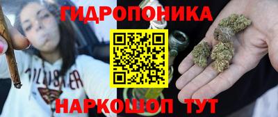 бошки Кингисепп