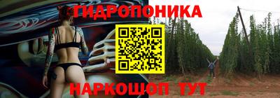 бошки Кингисепп