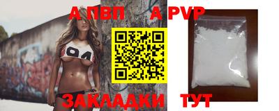 бошки Кингисепп