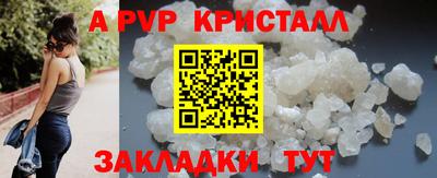 бошки Кингисепп