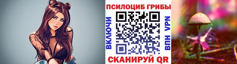 Псилоцибиновые грибы GOLDEN TEACHER  Соль-Илецк 