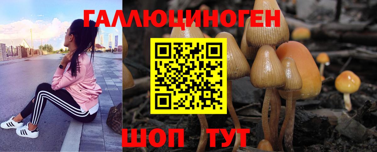 Псилоцибиновые грибы Psilocybine cubensis  Вход с VPN  Соль-Илецк 